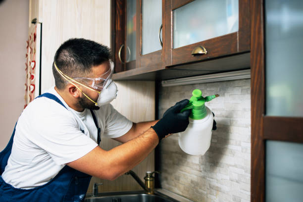 Best Pest Control for Businesses  in Flence, OR