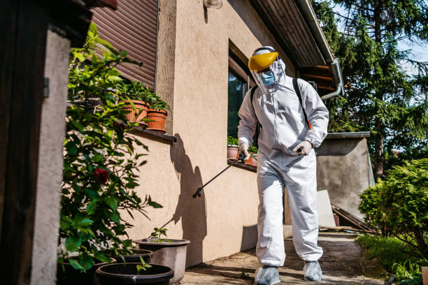 Best Pest Prevention Services  in Flence, OR