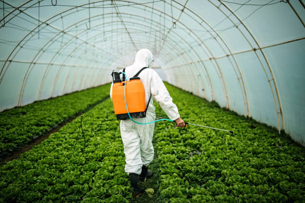 Reliable Florence, OR Pest Control Solutions