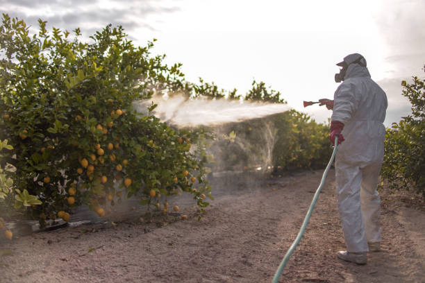 Best Wasp Removal Services  in Flence, OR
