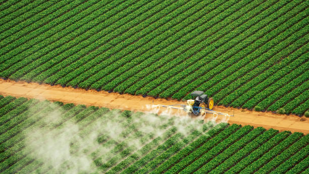 Best Pest Inspection Near Me  in Flence, OR