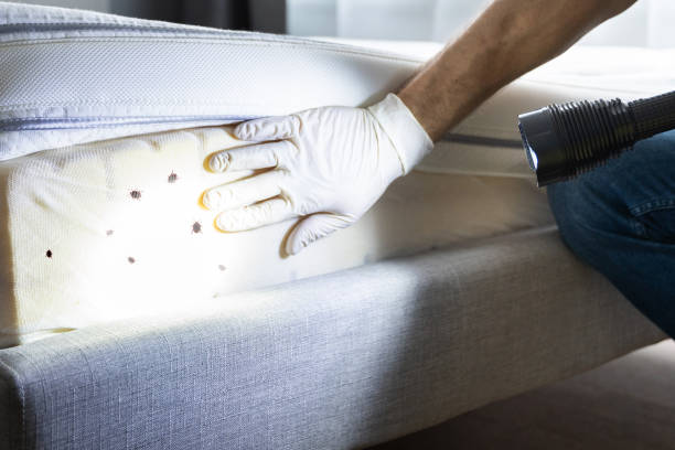 Best Pest Control Near Me in Florence, OR