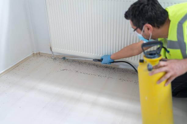 Best Emergency Pest Control  in Flence, OR