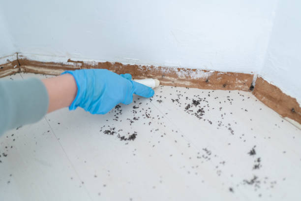 Best Commercial Pest Control Services  in Flence, OR
