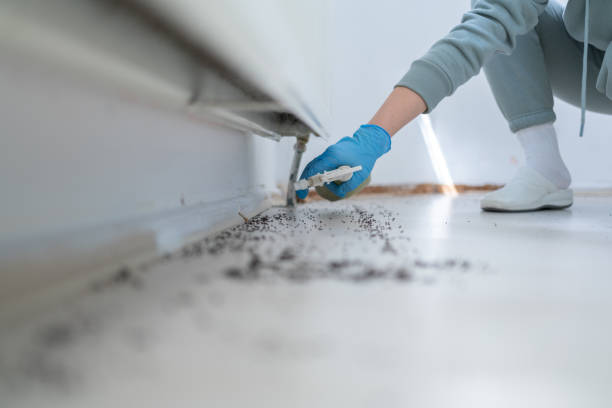 Best Cockroach Control Services  in Flence, OR