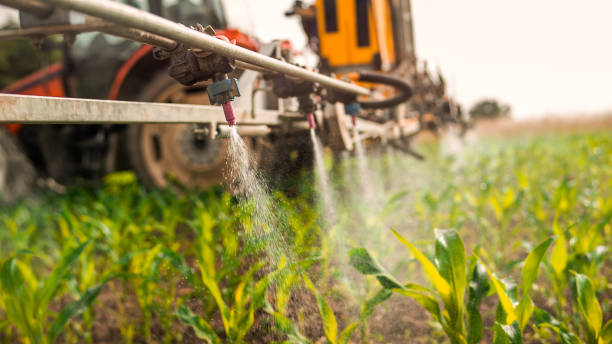 Insect Control in Florence, OR